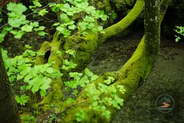 Река Тунджа – крайбрежна разходка в Ямбол - 1