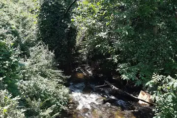 Река Тунджа – крайбрежна разходка в Ямбол - 3