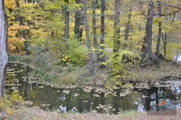 Река Тунджа – крайбрежна разходка в Ямбол - 7