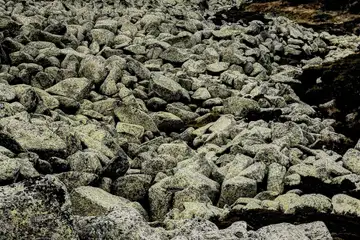 Каменна река на Витоша - 2