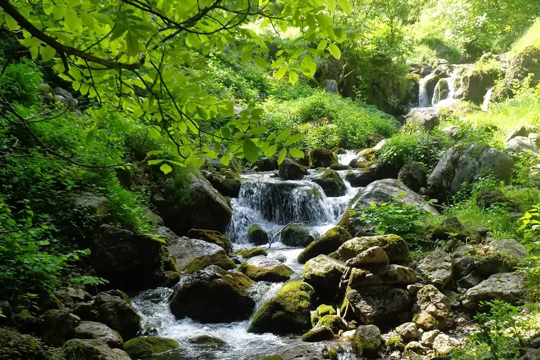 Врачански Балкан – еко пътека “Боров камък”