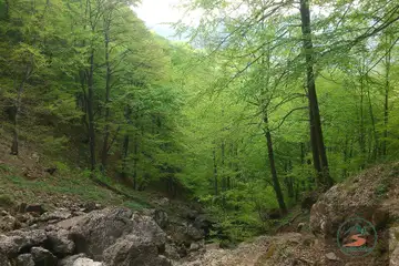 Врачански Балкан – еко пътека “Боров камък” - 3