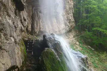 Врачански Балкан – еко пътека “Боров камък” - 6