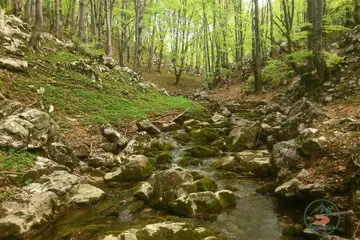 Врачански Балкан – еко пътека “Боров камък” - 7