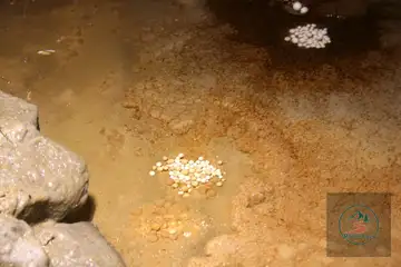 Ягодинска пещера - 1