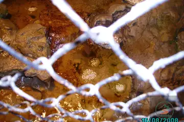 Ягодинска пещера - 2