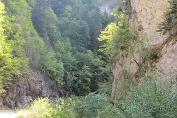 Ягодинска пещера - 4